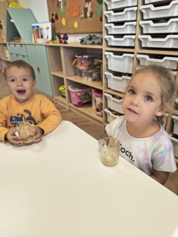 1c2f6906-26a0-440b-8f85-747ee36d8305