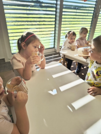 7232fcea-402a-4aa4-9869-3ddd955f5512