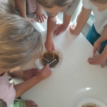 560340610_1247660560498749_5190267301744726141_n